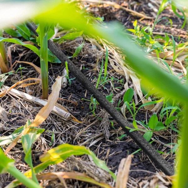 Irrigazione a goccia – risparmio d’acqua e precisione