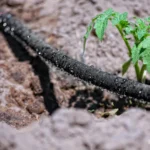 Irrigazione a goccia – risparmio d’acqua e precisione