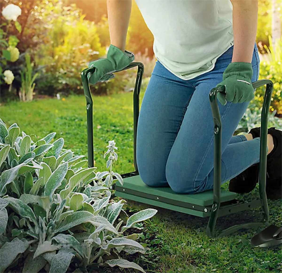 Silvia Galli - Molto soddisfatta, ho ricevuto anche degli attrezzi da giardino di buona qualità. Grazie.
