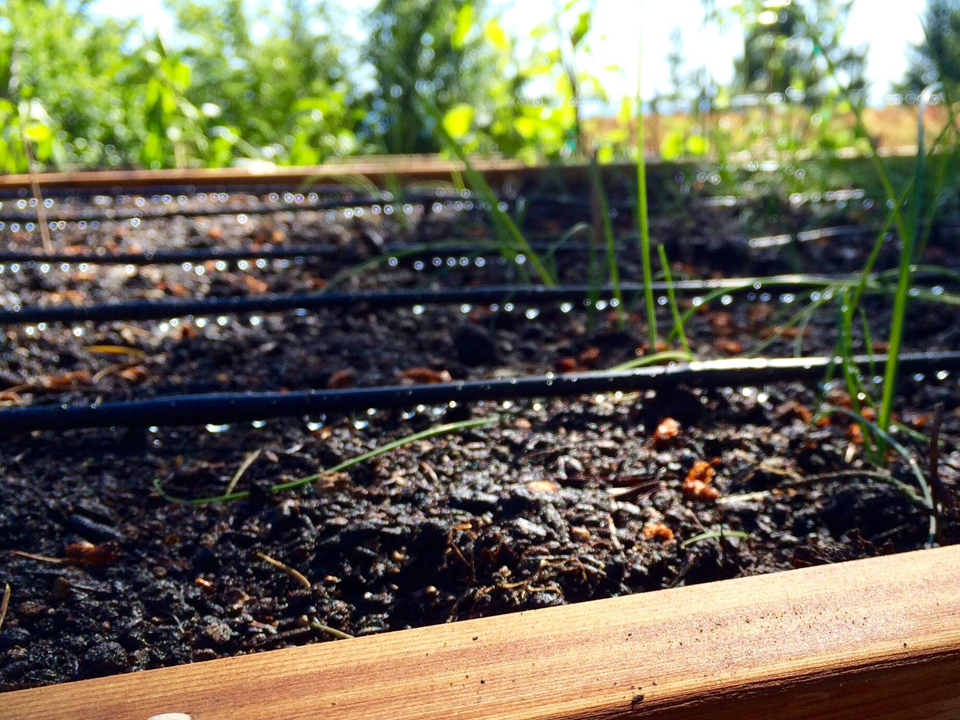 Laura Santoro - Il tubo per l'irrigazione svolge il suo compito e mi rende molto più semplice il lavoro in giardino. Sono molto soddisfatta dell'acquisto.